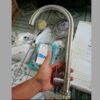 Vòi rửa chén bát lạnh bi xoay